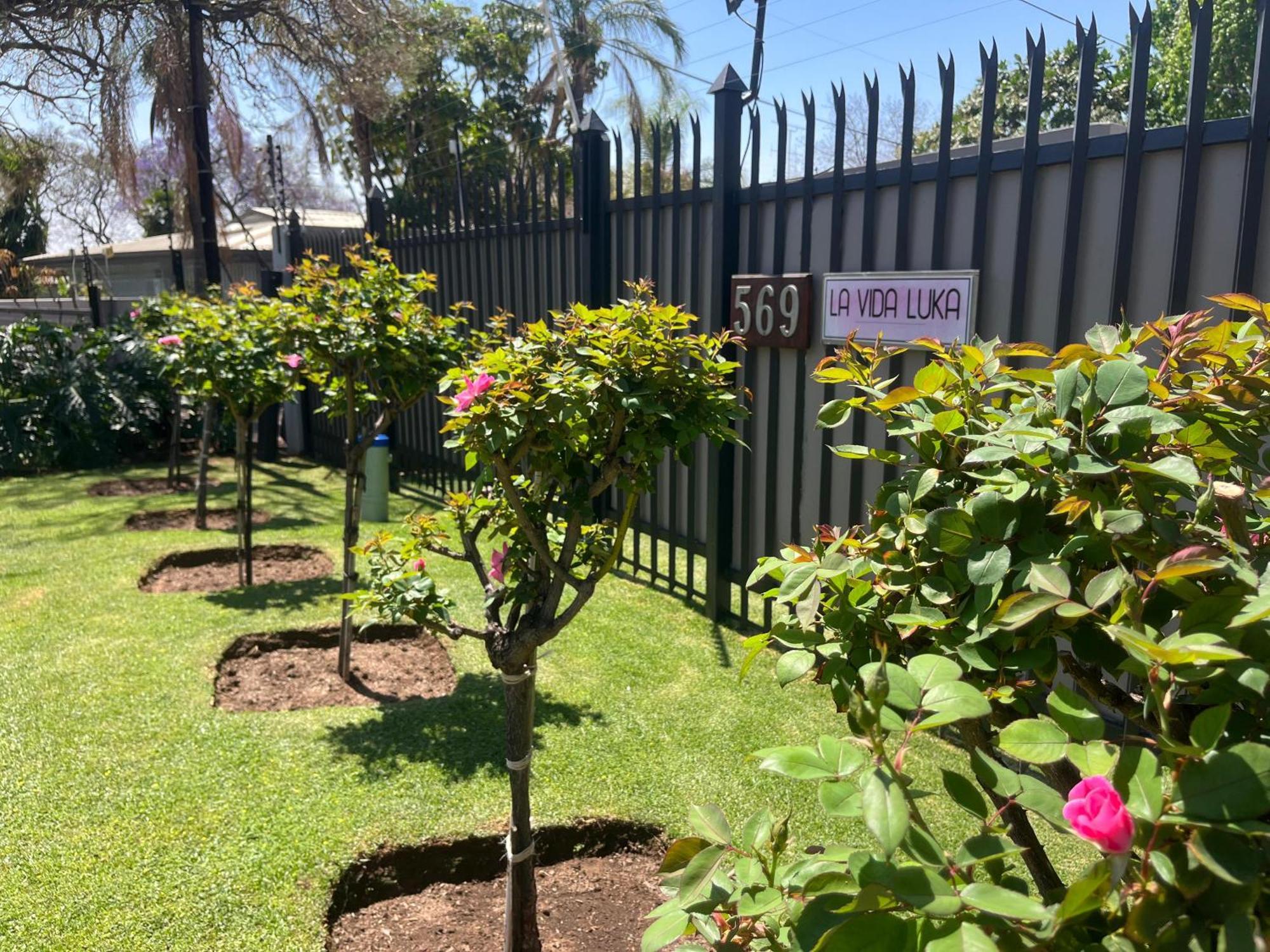 La Vida Luka - Luxury Guesthouse Pretoria-Noord Eksteriør bilde