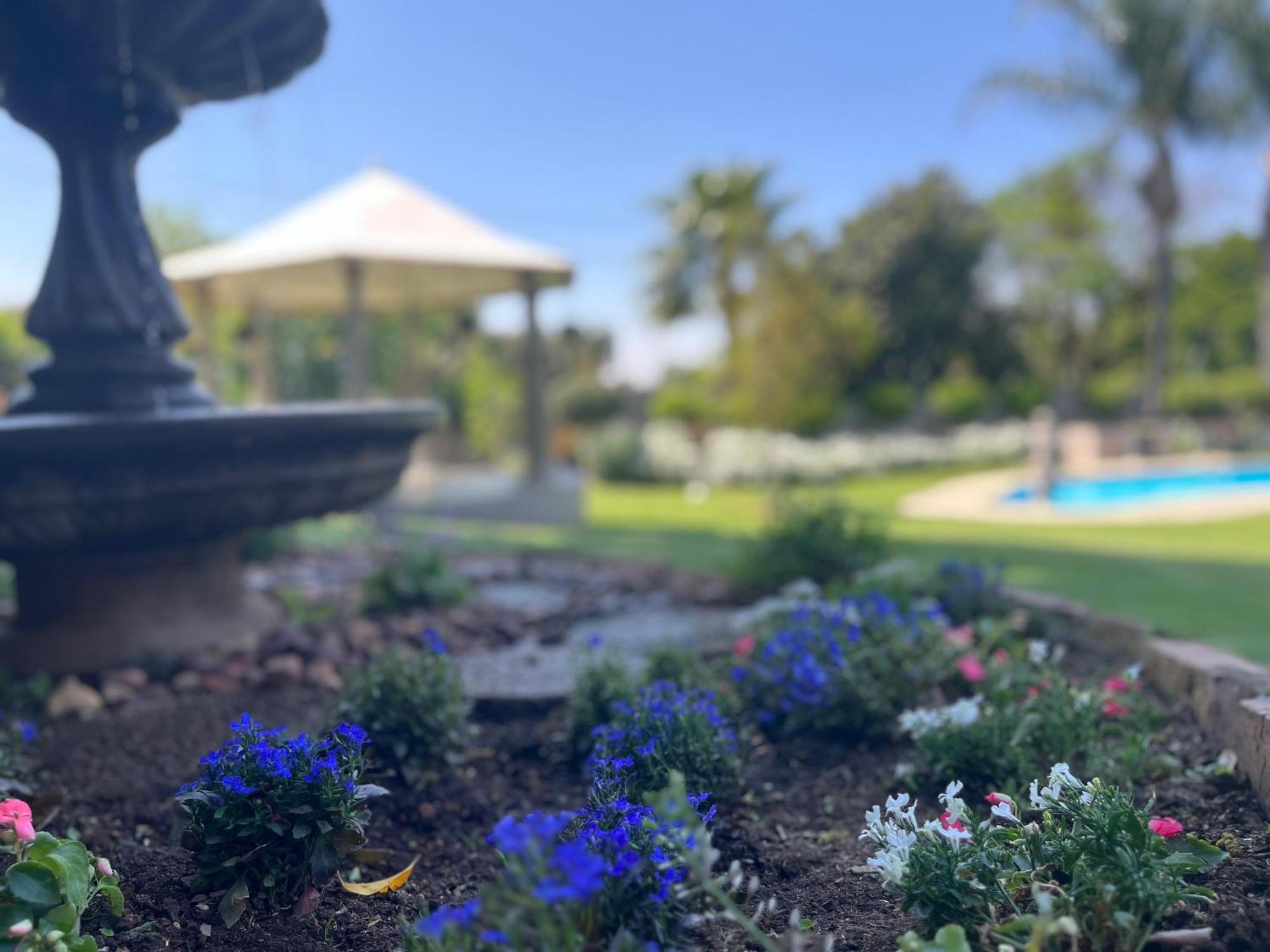 La Vida Luka - Luxury Guesthouse Pretoria-Noord Eksteriør bilde